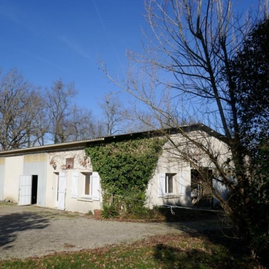  Donjon Immobilier : Domaines / Propriétés | MONTAUBAN (82000) | 140 m2 | 425 250 € 