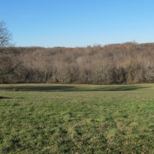  Donjon Immobilier : Terrain | BEAUMONT-DE-LOMAGNE (82500) | 0 m2 | 107 000 € 