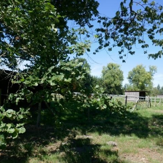  Donjon Immobilier : Domaines / Propriétés | GABARRET (40310) | 150 m2 | 310 000 € 