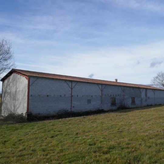  Donjon Immobilier : Terrain | GRENADE (31330) | 0 m2 | 212 000 € 