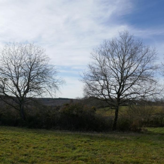  Donjon Immobilier : Terrain | GRENADE (31330) | 0 m2 | 212 000 € 