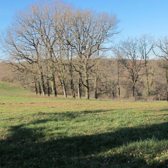  Donjon Immobilier : Terrain | BEAUMONT-DE-LOMAGNE (82500) | 0 m2 | 107 000 € 