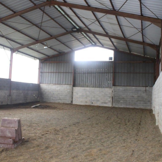 Donjon Immobilier : Domaines / Propriétés | GRENADE (31330) | 193.00m2 | 690 000 € Donjon Immobilier : Domaines / Propriétés | GRENADE (31330) | 193.00m2 | 690 000 €