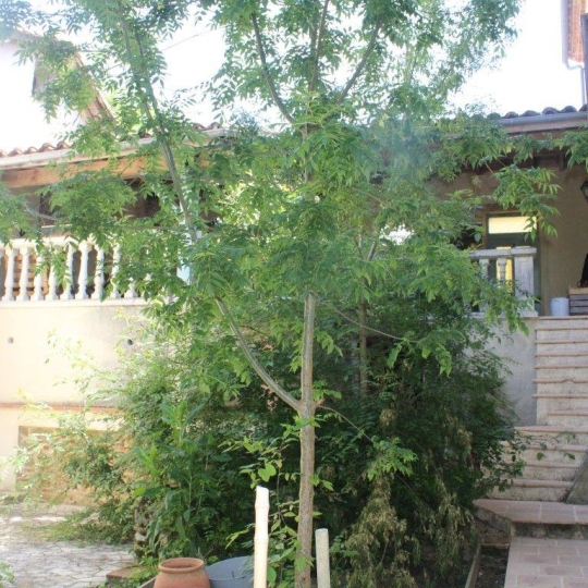 Donjon Immobilier : Maison / Villa | MAUVEZIN (32120) | 122.00m2 | 212 000 € 