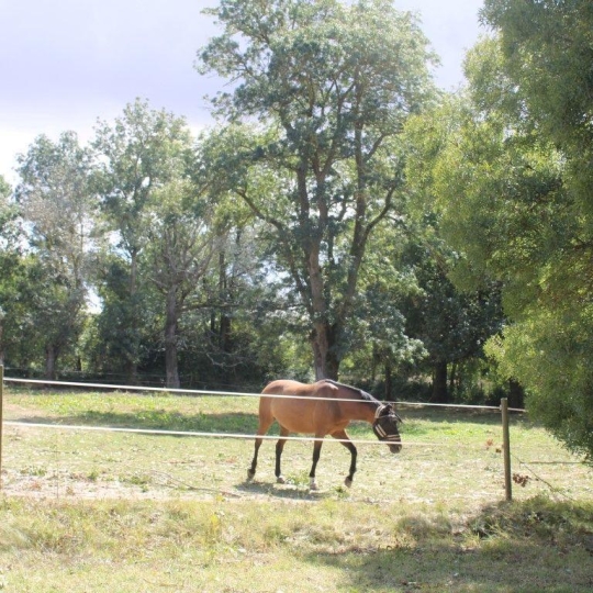Donjon Immobilier : Domaines / Propriétés | FLEURANCE (32500) | 80.00m2 | 430 500 € 