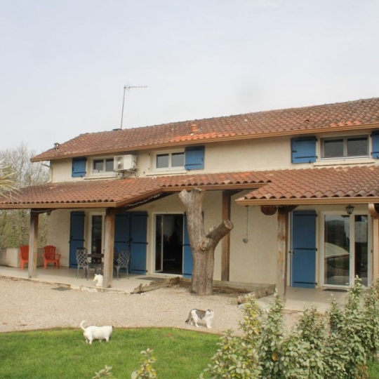  Donjon Immobilier : Domain / Estate | CARMAUX (81400) | 165 m2 | 420 000 € 
