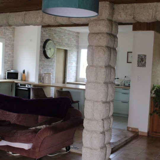  Donjon Immobilier : Domain / Estate | CARMAUX (81400) | 165 m2 | 420 000 € 