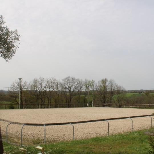  Donjon Immobilier : Domain / Estate | CARMAUX (81400) | 165 m2 | 420 000 € 