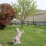 Donjon Immobilier : Domain / Estate | CARMAUX (81400) | 165 m2 | 420 000 € 