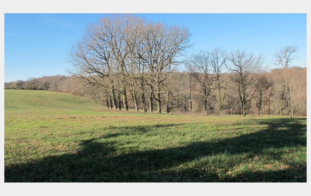 Donjon Immobilier : Terrain | BEAUMONT-DE-LOMAGNE (82500) | 0 m2 | 107 000 € 