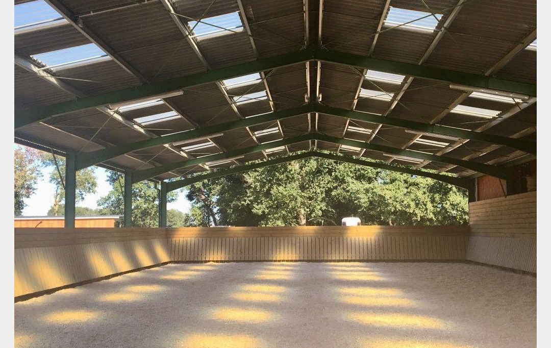 Donjon Immobilier : Domaines / Propriétés | TOULOUSE (31000) | 131 m2 | 980 000 € 