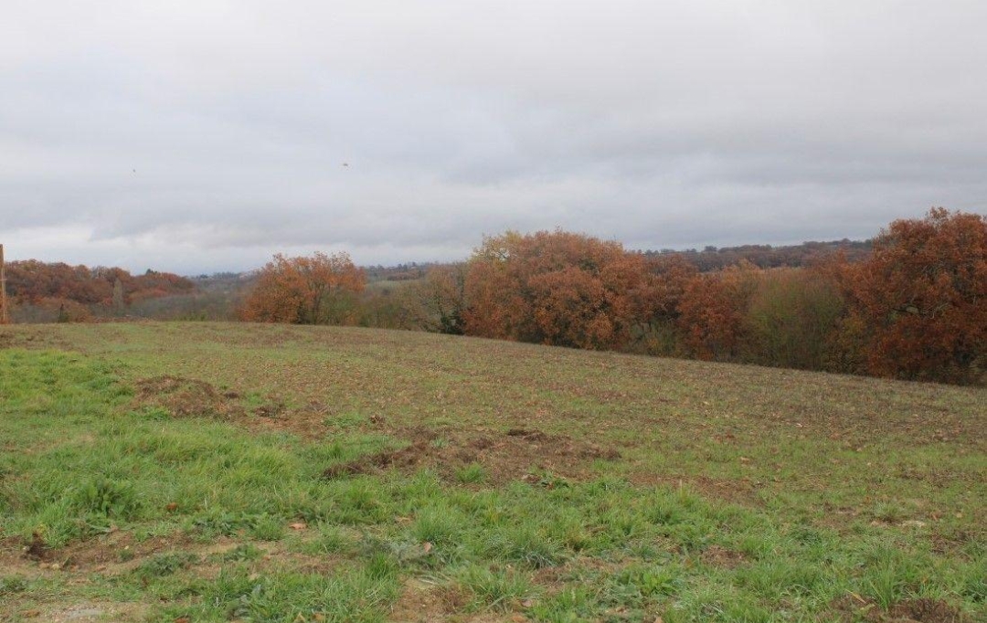 Donjon Immobilier : Terrain | MAUVEZIN (32120) | 0 m2 | 49 000 € 