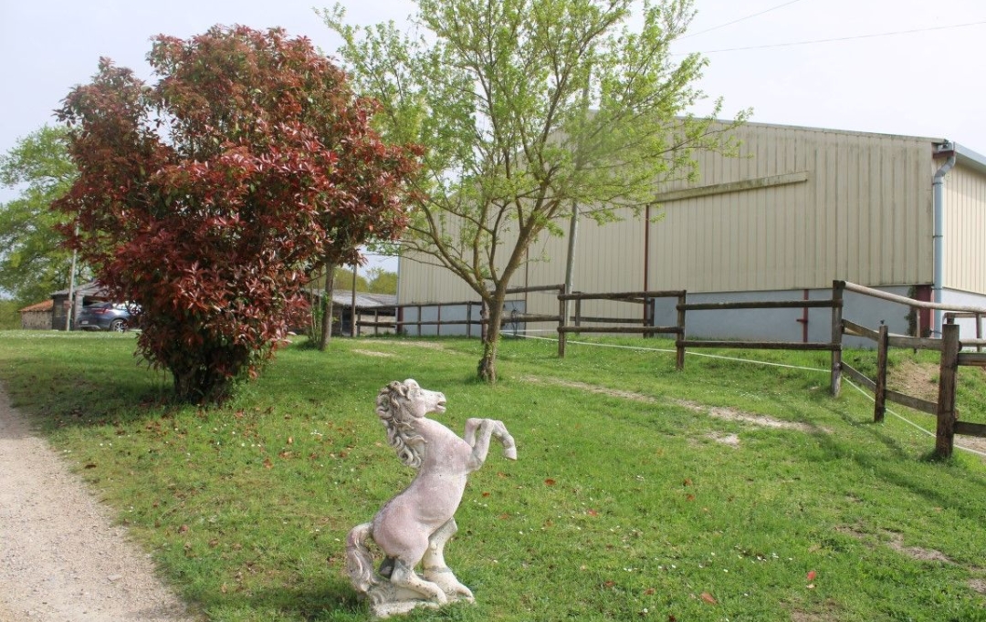 Donjon Immobilier : Domain / Estate | CARMAUX (81400) | 165 m2 | 420 000 € 