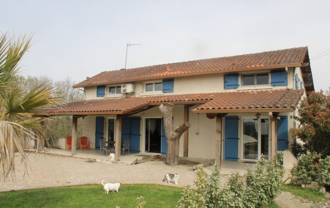 Donjon Immobilier : Domain / Estate | CARMAUX (81400) | 165 m2 | 420 000 € 
