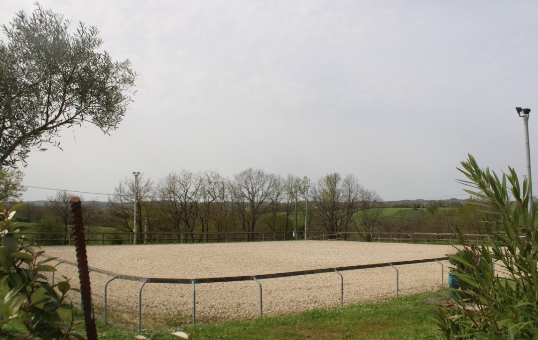 Donjon Immobilier : Domain / Estate | CARMAUX (81400) | 165 m2 | 420 000 € 