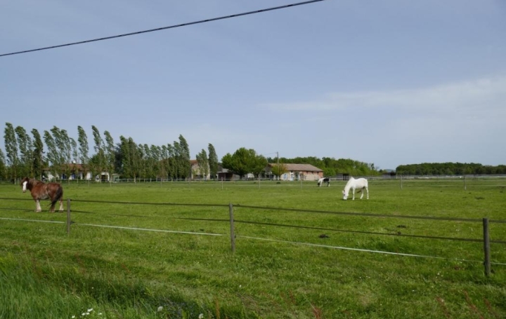 Donjon Immobilier : Domaines / Propriétés | VILLENEUVE-SUR-LOT (47300) | 88 m2 | 420 000 € 