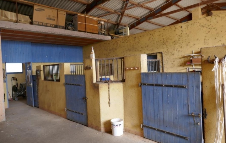 Donjon Immobilier : Maison / Villa | BLAGNAC (31700) | 200 m2 | 525 000 € 