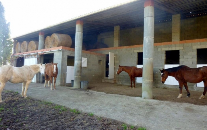 Donjon Immobilier : Domaines / Propriétés | MONTAUBAN (82000) | 140 m2 | 425 250 € 