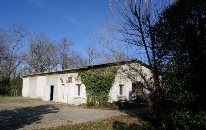 Donjon Immobilier : Domaines / Propriétés | MONTAUBAN (82000) | 140 m2 | 425 250 € 