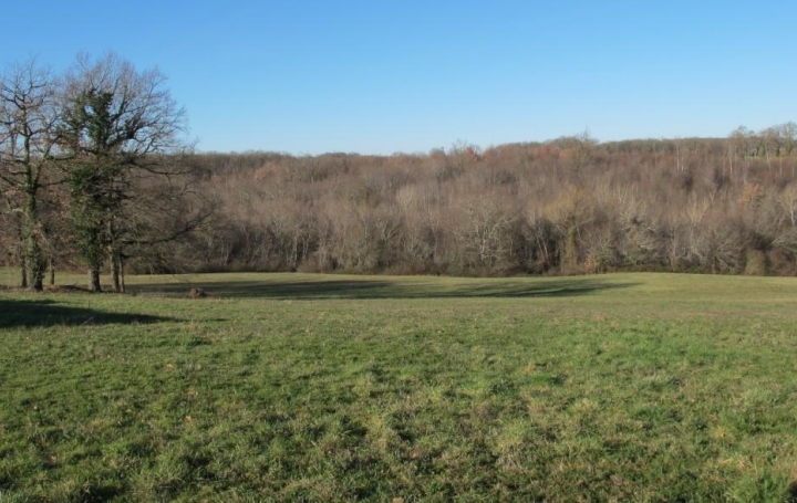  Donjon Immobilier Terrain | BEAUMONT-DE-LOMAGNE (82500) | 0 m2 | 107 000 € 
