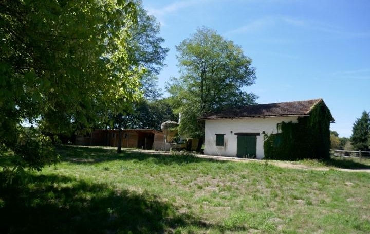 Donjon Immobilier : Domaines / Propriétés | GABARRET (40310) | 150 m2 | 310 000 € 