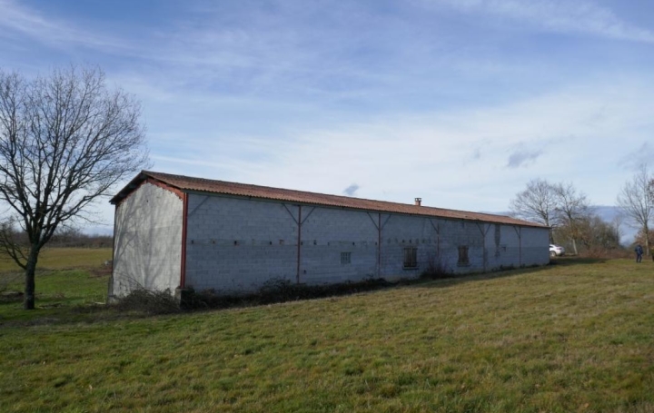 Donjon Immobilier : Terrain | GRENADE (31330) | 0 m2 | 212 000 € 