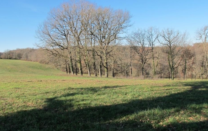 Donjon Immobilier : Terrain | BEAUMONT-DE-LOMAGNE (82500) | 0 m2 | 107 000 € 