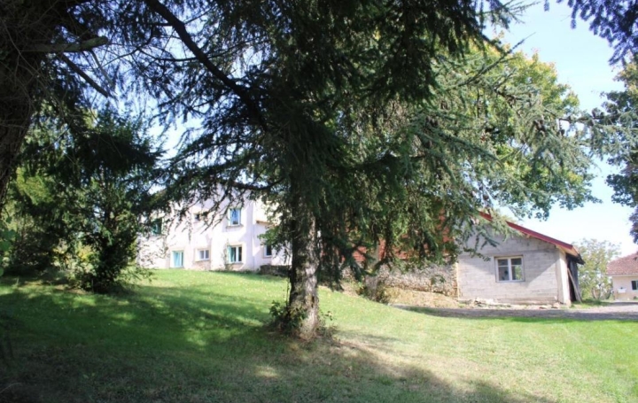 Donjon Immobilier : Maison / Villa | VIC-FEZENSAC (32190) | 214 m2 | 280 900 € 