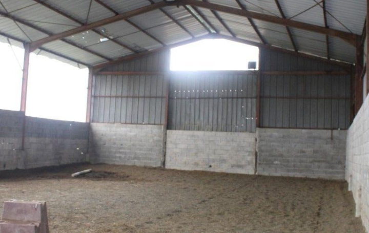  Donjon Immobilier Domaines / Propriétés | GRENADE (31330) | 193 m2 | 690 000 € 