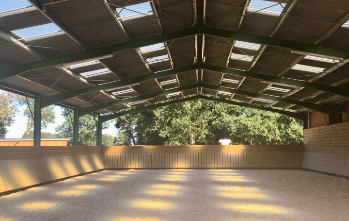  Donjon Immobilier Domaines / Propriétés | TOULOUSE (31000) | 131 m2 | 980 000 € 
