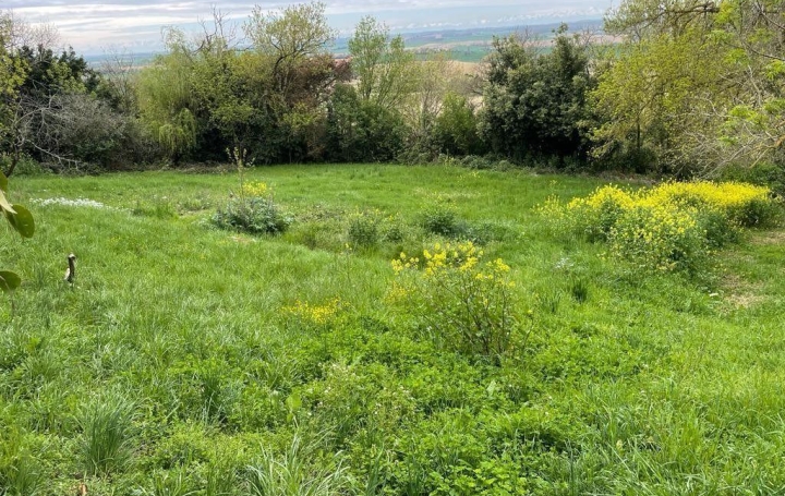 Terrain PUYCASQUIER 35 000 € Terrain PUYCASQUIER 35 000 €