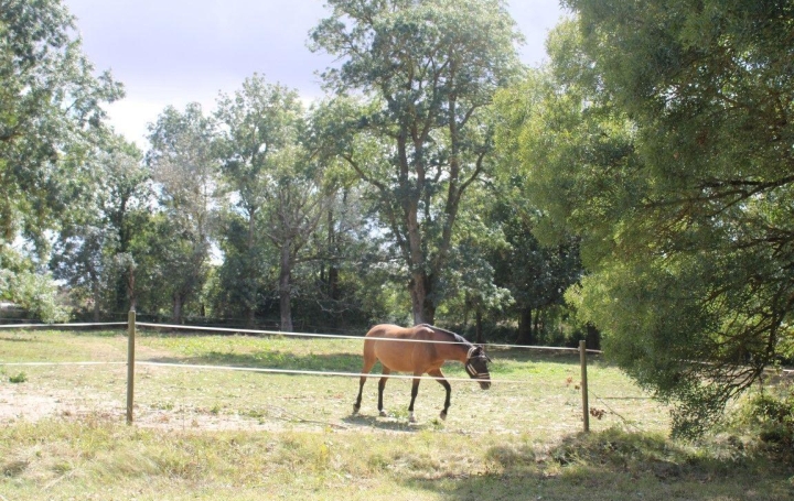 Propriété FLEURANCE 80 m2 430 500 € Propriété FLEURANCE 80 m2 430 500 €