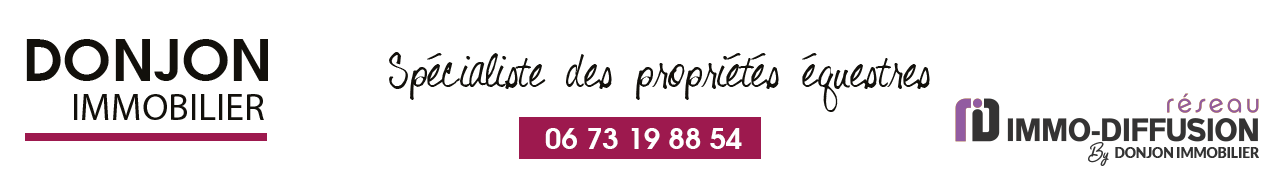 Donjon Immobilier